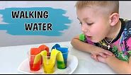 How To Mix Colors. Primary and Secondary colors of the Color wheel. Easy science experiment for Kids