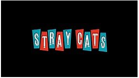 Stray Cats | 40