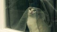 "Tell Cersei. I Want Her to Know It Was Me"