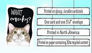 NobleWorks - 1 Funny Animal Birthday Card with Envelope - Cute Card for Birthdays - Cat Antics Cupcakes C3638ABDG
