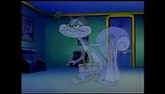 Slappy Squirrel is My favorite character Animaniacs
