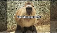 Capybara Godfather meme, You disrespect me 😂