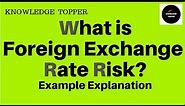 Exchange Rate Risk | Foreign Exchange Risk | Foreign Exchange Rate Risk Management