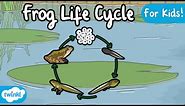 The Life Cycle of a Frog | Frog Life Cycle | Science for Kids!