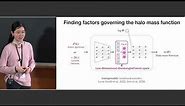Explaining dark matter halo abundance with interpretable deep learning