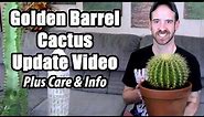 Golden Barrel Cactus Care & Information (& Update)