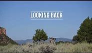 "Looking Back" A Utah San Juan Elk Ridge Archery Mule Deer Hunt