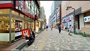 【JAPAN 4K】Walk on Ichikawa(市川) in Chiba(千葉散歩)【2020】