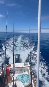 1.9K views · 11 reactions | Trolling for Bluefin Tuna in SoCal! : @wetwillyfishing #bluefintuna #tunafishing #trollingfishing #wetwillyfishing #socalfishing #fishing #sportfishing #fishingtime #fishingdaily #fishinglife | Promar & Ahi USA | Facebook