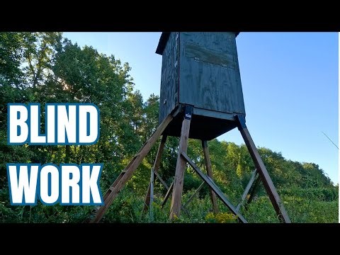 Hunt Prep (Part 2) | More Blind Repair