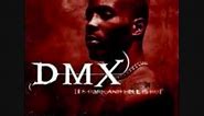 DMX Who We Be