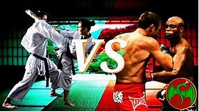 Modern Martial Arts Vs Traditional Arts - Why?