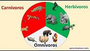 Animales carnivoros herbivoros y omnivoros para niños