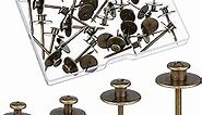 Zhengmy 40 Pcs Double Headed Picture Hangers Nails Thumb Tacks Small Head Hanging Nails Push Pins Decorative Wall Hooks for Hanging Home Office Hanging Picture Photo Decorations (Bronze)