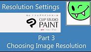Image Resolution in Clip Studio Paint (Part 3 of 4)