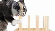 HOZOE Cat Chew Stick, Dental Care and Teeth Grinding Tool for Cats, Indoor Cat Chewing Toy, Natural and Safe Wooden Cat Interactive Toy, Relieves Cat Anxiety and Stress
