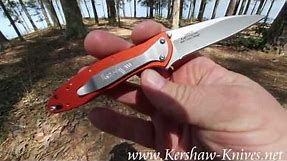 Kershaw Leek Orange Knife 1660OR - video demo