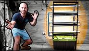 How to Build an Indoor Vertical Hydroponic System for Lettuce