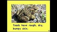 Frogs and Toads written by Linda Zuniga