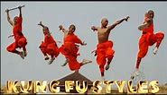 The most popular Kung fu styles in chinese martial arts ￼