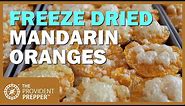 Food Storage: Freeze Dried and Bottled Mandarin Oranges