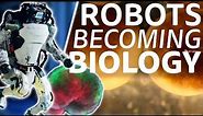 The 5 Levels of the Biorobotics Revolution