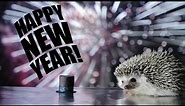 HAPPY NEW YEAR! - HARLEY THE HEDGEHOG E-CARD