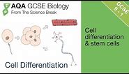 Cell Differentiation For AQA 9-1 GCSE Biology and Trilogy (Combined Science)