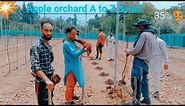 Paradise of Apples || Unveiling Kashmir's High-Density Orchard Oasis ||🍎🌳 A Vibrant /@TheIndodutch