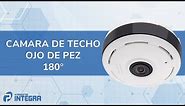 www.productosintegra.com CAMARA DE TECHO OJO DE PEZ 360° Fish Eye Wifi PANORAMICA