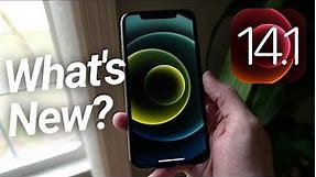 iOS 14.1 What's New? iPhone 12 Official Wallpapers!