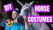 Quick and Easy Halloween Costumes (for your Horse!)