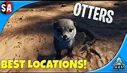 How To Find & Tame A Otter | Ark Survival Ascended