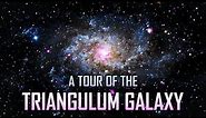 A Tour of the Triangulum Galaxy [4K]