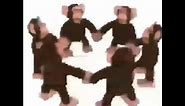 Happy monkey circle 10 HOURS