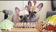 ASMR MUKBANG French Bulldogs Eating Spicy Bossam / Boiled Pork | 강아지 보쌈 먹방!
