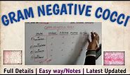 Gram negative cocci | Gram negative bacteria | gram negative flow chart