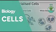 Intro To Cells: Animals & Plants | Cells | Biology | FuseSchool