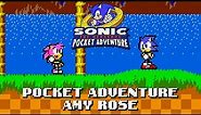 Amy Rose in Sonic Pocket Adventure (Sprite Animation)