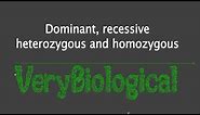 dominant, recessive, heterozygous and homozygous (English)