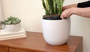 PEACH & PEBBLE 7 Inch (Set of Two) White Ceramic Planter. Contour Plant Pot for House Plants and Indoor Plants (Drainage + Stopper Included).