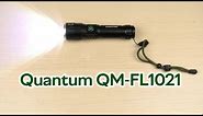 Розпаковка Quantum QM-FL1021 Solid Highlight 10W LED з димером з функцією Power Bank