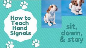 How to Teach Your Dog Hand Signals | Dog Training Tutorial