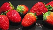 Rotting Strawberry Time-Lapse - Erdbeeren im Zeitraffer