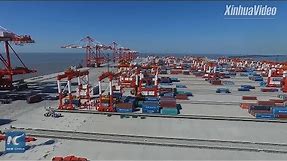 Exploring world's biggest automated container terminal in Shanghai