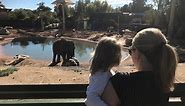 Phoenix Zoo: What to know before you go. A helpful guide for families planning to visit