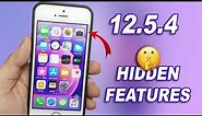 iOS 12.5.4 Top Secret Hidden Features - iPhone 5s Hidden Features.