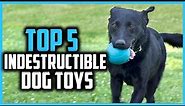 ✅Top 5 Best Indestructible Dog Toys of 2024