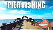 Fishing Clearwater Beach Pier 60 And Teaching People How To Fish!