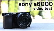 sony a6000 video test & vlogging test (kit lens)